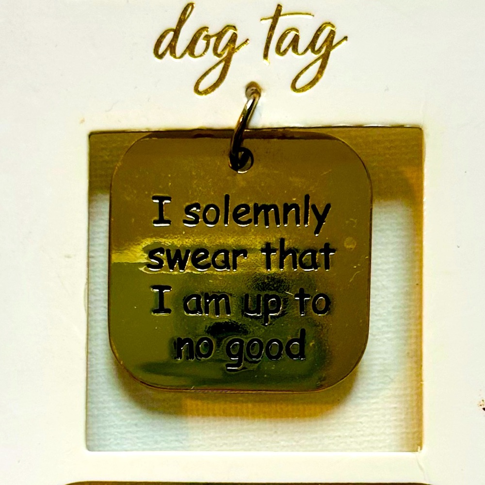 Charming Charlie Dog Tag